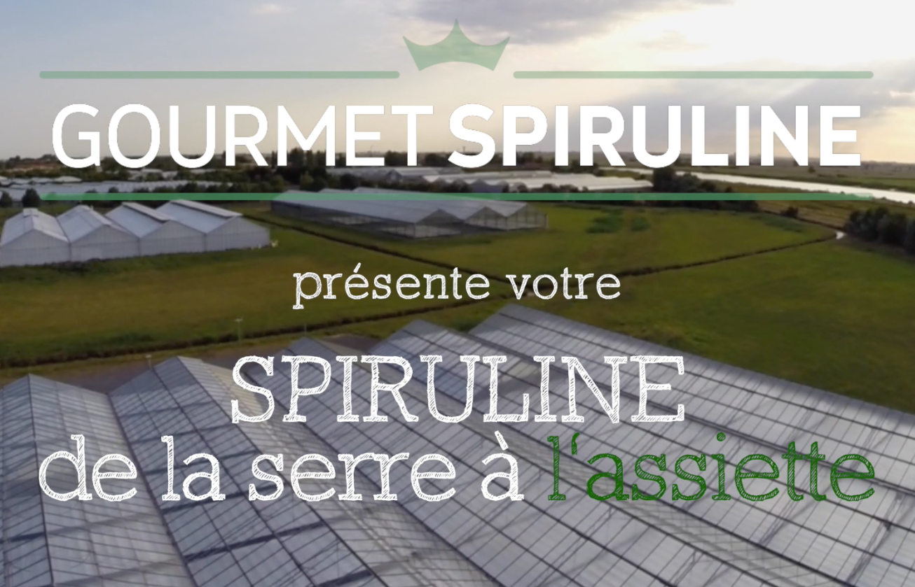 Gourmet Spiruline présente la spiruline de la serre à l’assiette