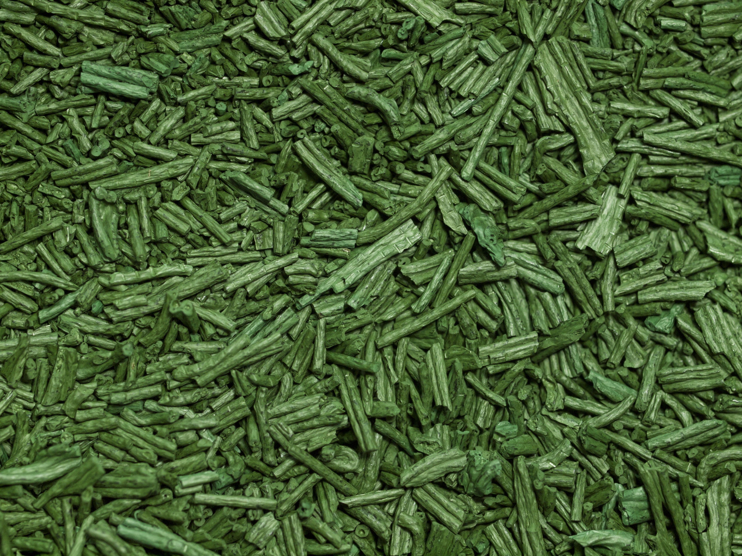 Vous voulez en savoir plus sur la spiruline ?